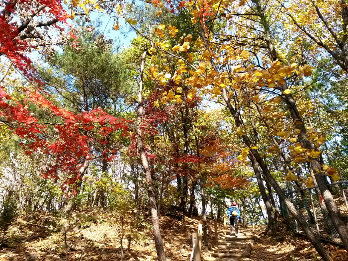 이미지