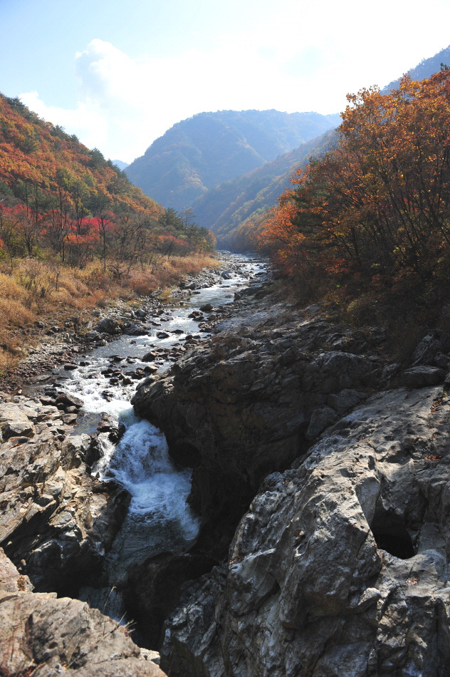 이미지