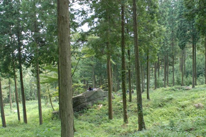 이미지