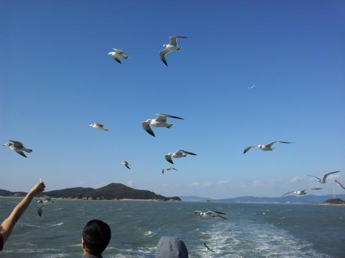 이미지