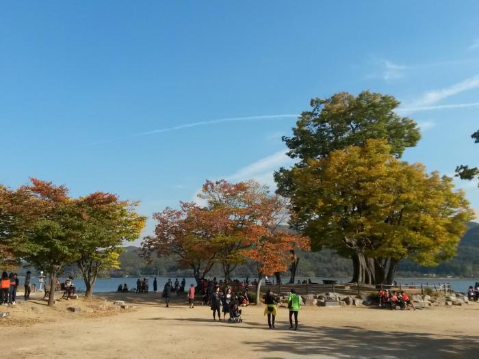 이미지